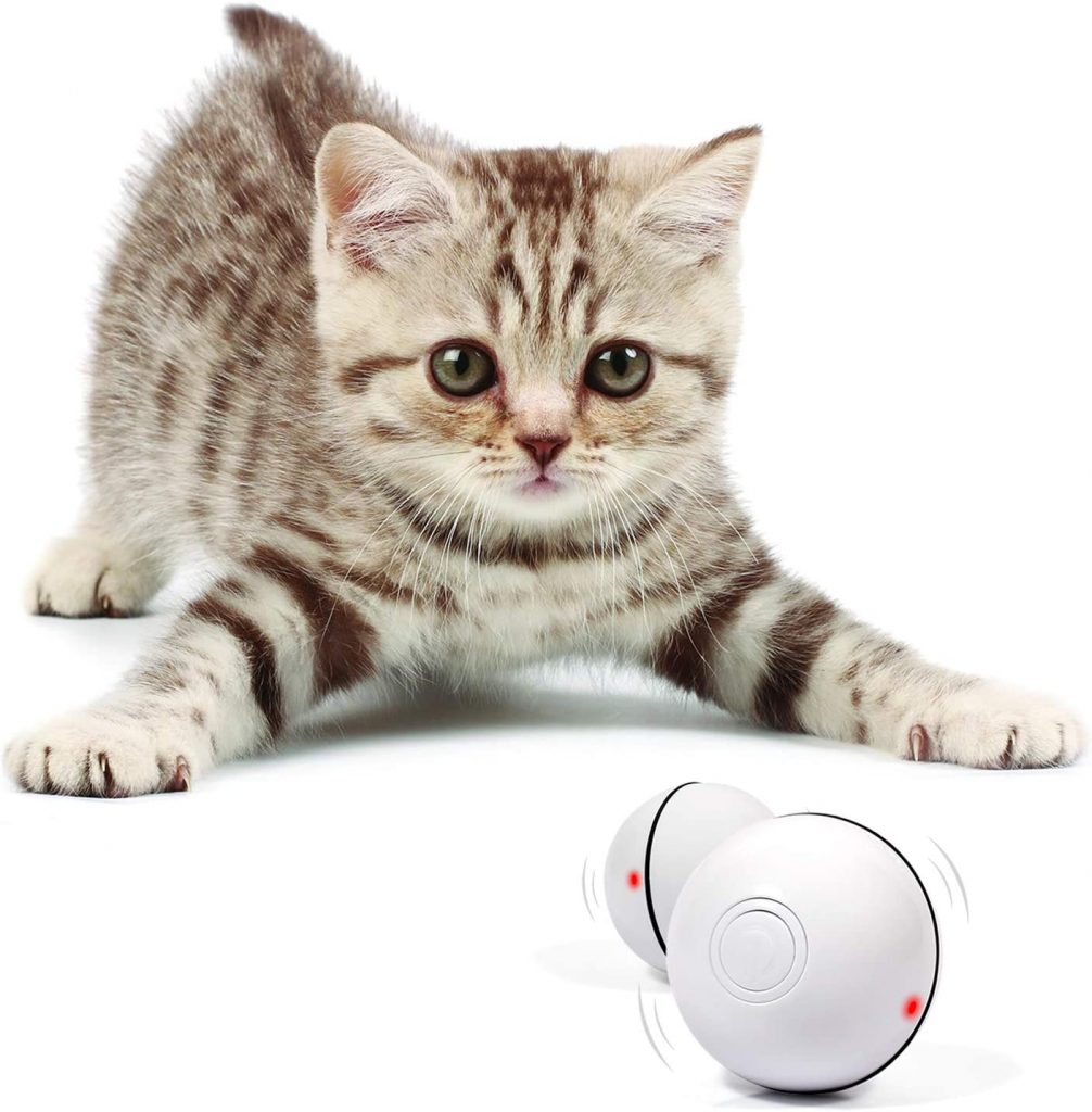 Interactive self-rotating ball cat toy