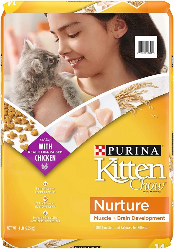 Purina Kitten Chow food will serve the kitten with the best nutrients for development.