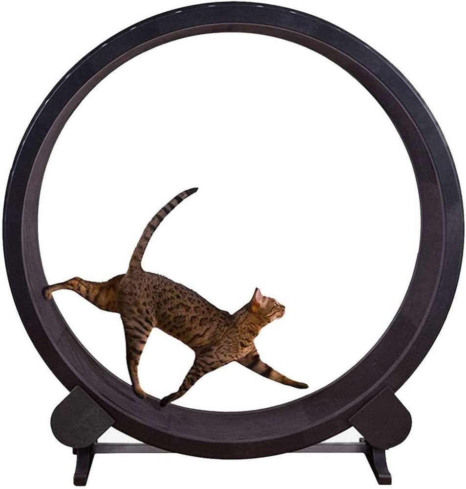 Bottlebottle Cat Sports Treadmill doesn't require battery since the wheel is driven entirely by your cat.