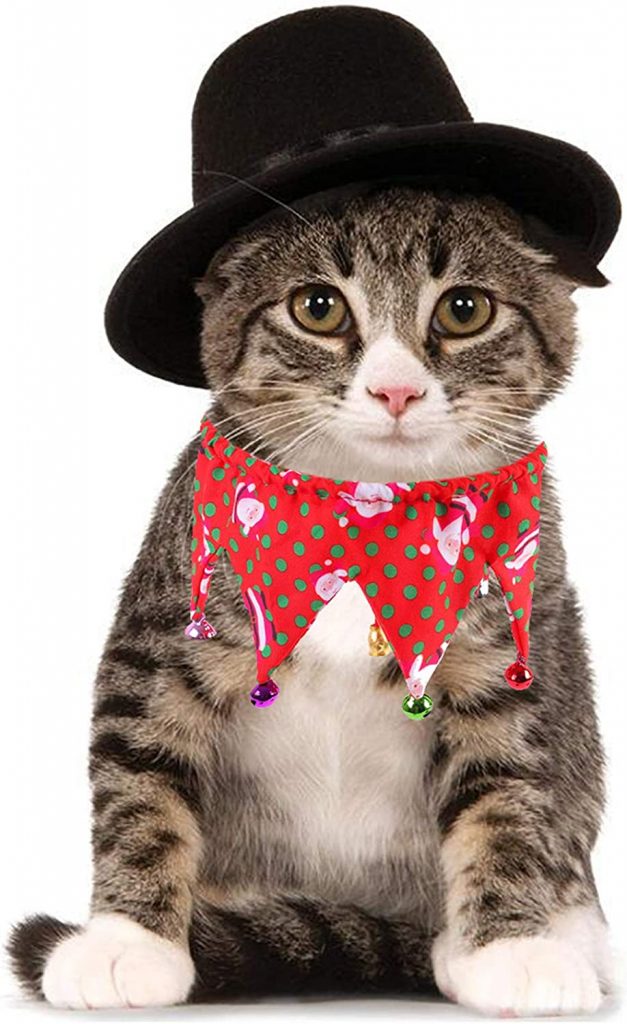 Huyadapi Adjustable Bow Tie And Top Hat can be worn by your pet every day, for photo shoots, parties, weddings, holidays, and celebrations. It will make your pet look more refined.