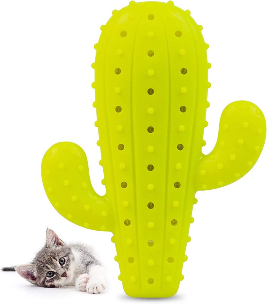 Pet Craft Supply Cactus Interactive Cat Toy can help keep your cat's teeth in good shape. Regular use of the toy makes it easy to get rid of tartar, plaque, and bad breath that can build up on teeth.