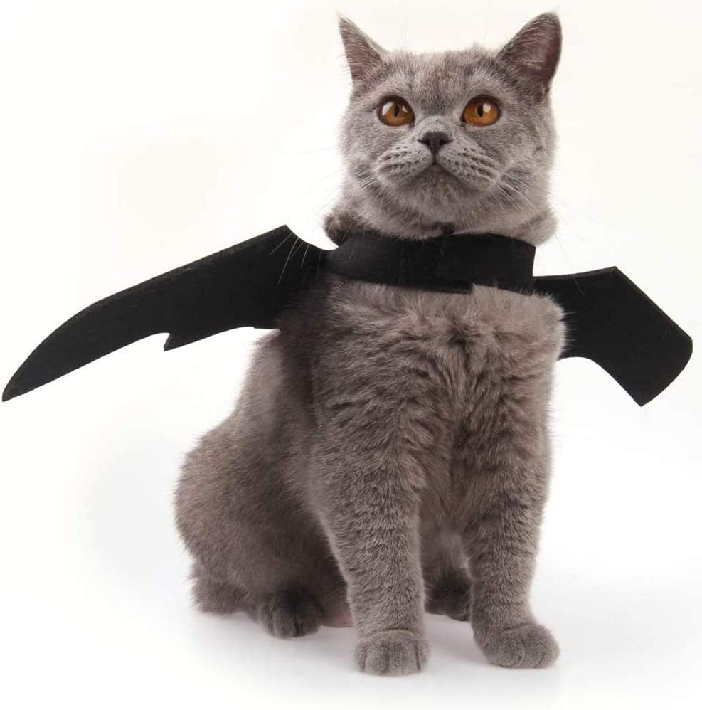 Yufan Cat Halloween Costume Bat Wings is safe for pets and is very light, so your furry friend will have no trouble moving around in it. The fabric feels soft and velvety to the touch. Even if your cat doesn't like costumes, he'll be able to wear this one because it's not too big or uncomfortable.