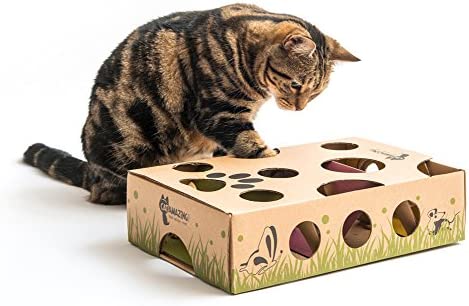 Cat Amazing Cat Puzzle Feeder