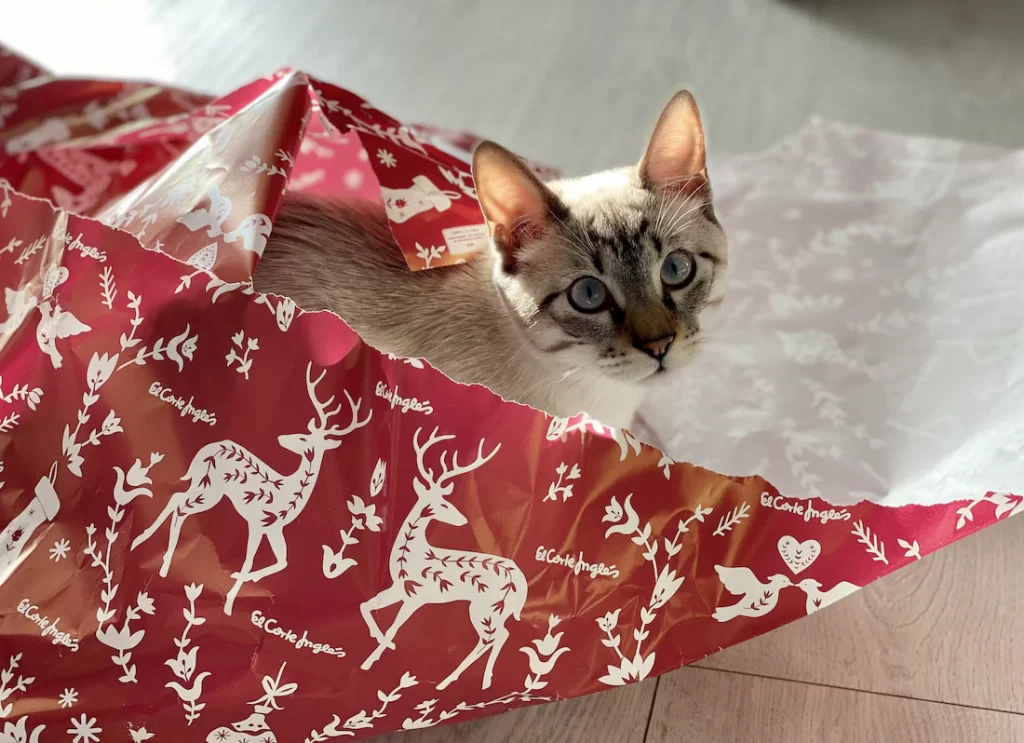 This article gives you review of some best Christmas cat toys in the market. We also give you a buyer guide on how to select the best christmas cat toys for your cats