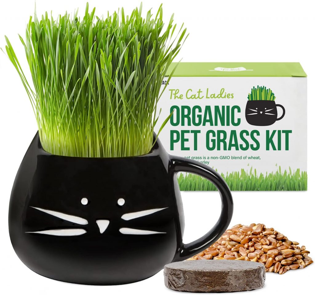 contains wheat grass, oat, barley, and rye, which are all crucial components for your cat's diet. Organic and high in fiber, which your pet requires for proper digestion. 