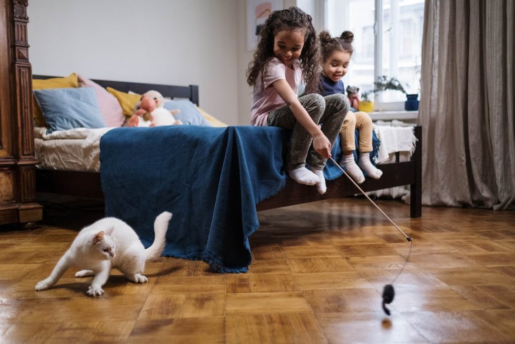 In this article, we discuss what are the Best toys for indoor cats, some key features and what are the pros and cons of each product. Cat owners will be able to make decisions on what the best toys are for their cats.