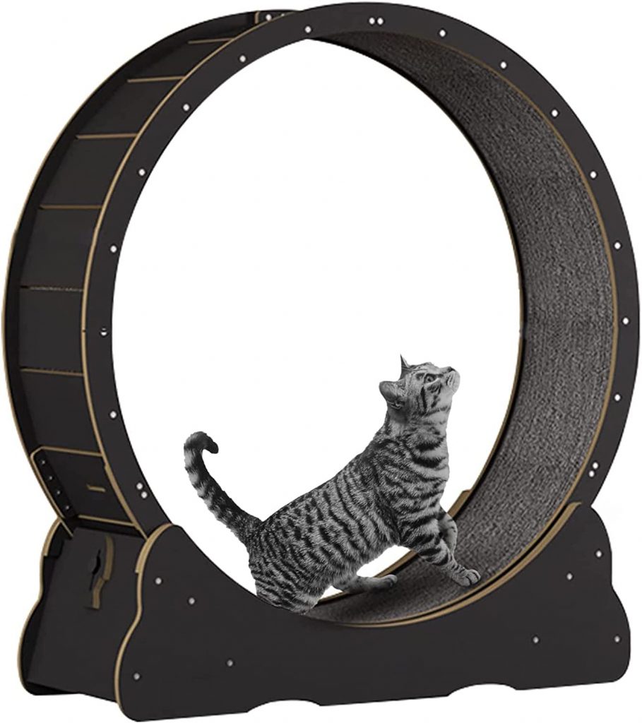 NBVNBV Cat Exercise Wheel With Replaceable Gripping Pads is made of wood and pet friendly material. It can be used as a cat exercise wheel as well as a scraper.
