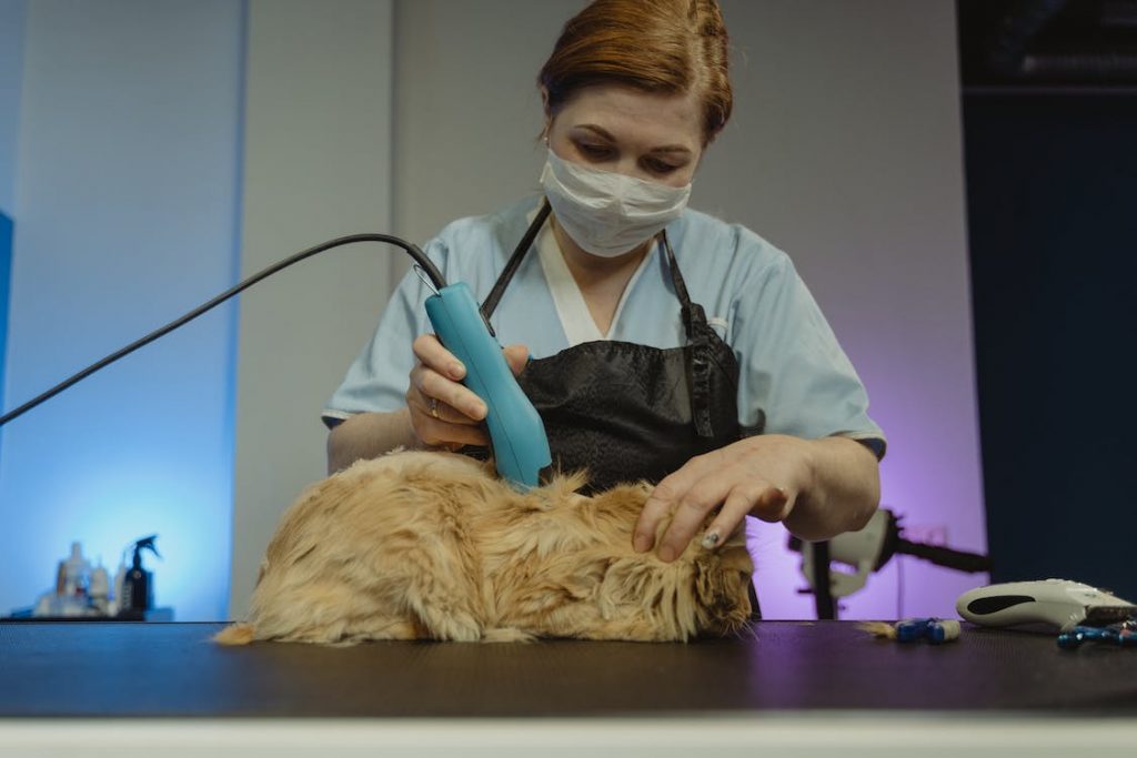 The article shows cat owners some of the best cat grooming tools products in the market. Cat owners now can make informed decision on what to buy for their cats.