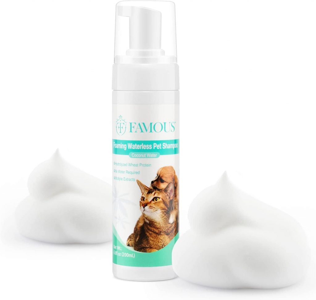 FAMOUS Dry Shampoo for Cats is natural and has a pH that is well-balanced. It also deodorizes thoroughly and safely. This shampoo is made with a calming cleanser that is based on coconut oil, and it conditions and moisturizes your cat's coat with botanicals. 