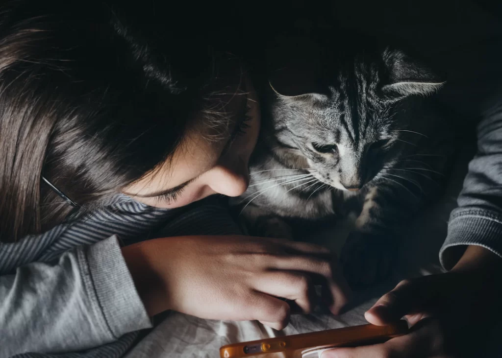 How to destress your cat? First, you need to find the root of the problem. Second, examine your cat's surroundings. Spend time with your cat. Provide toys, scratcher.