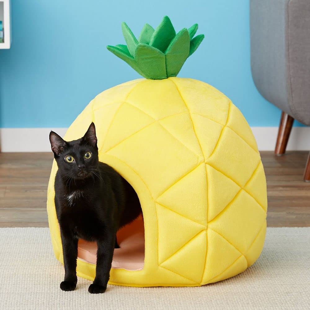 My cat Max sitting inside a pineapple cat bed that I bought for him as a gift on Christmas