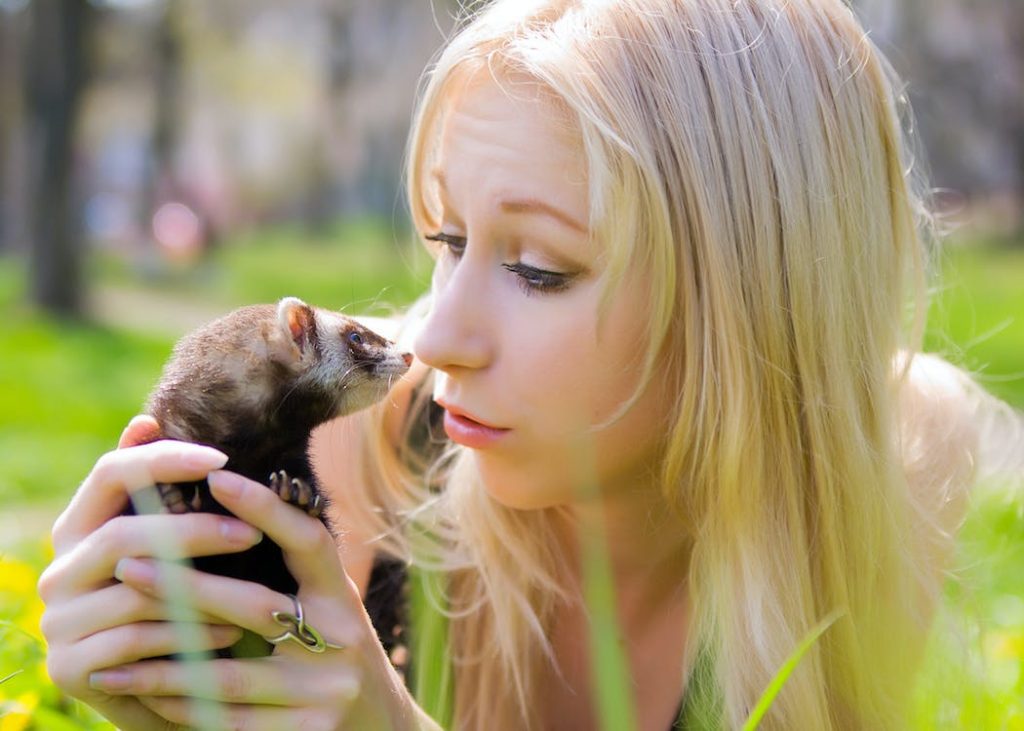 Ferrets may bite for various reasons, but don't worry! Take a look at this post to learn some effortless strategies you can use to stop your ferret from biting.