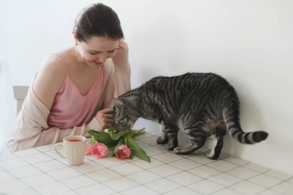 Know what smells cats hate the most? We have compiled a list of 17 uncommon smells that you should avoid if you want your feline friend to enjoy your home.